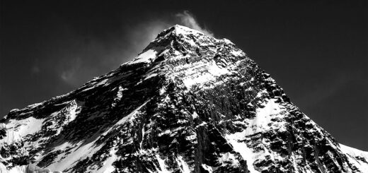 Everest Finanse: Rola Właściciela w Branży Finansowej